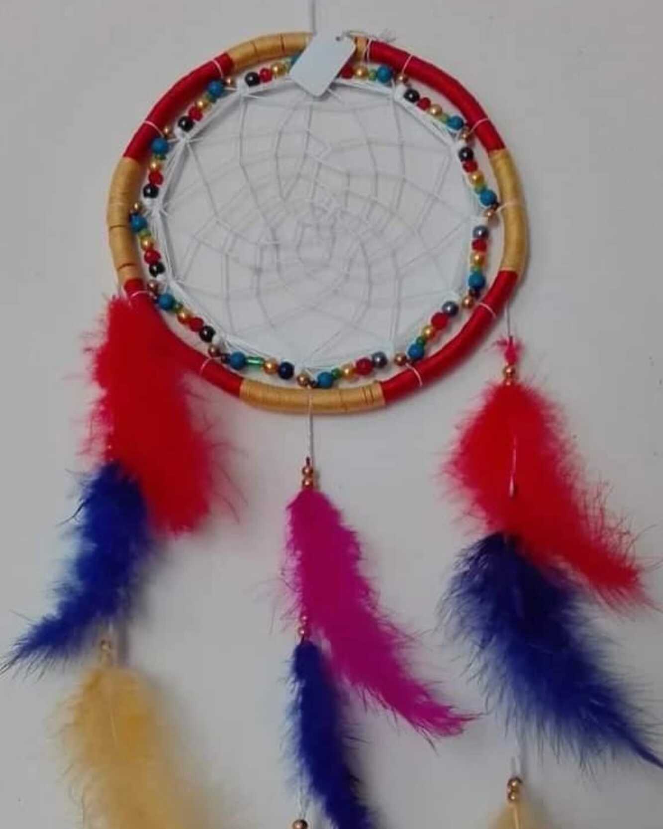 ACCHIAPPASOGNI COLORATO